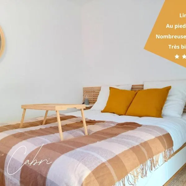 Le Cabri - Charmant T2 au pied des pistes، فندق في سان جان دو أولبس