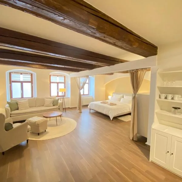 Großzügiges 1 Zimmer-Apartment mit Badewanne, hotel di Pirna