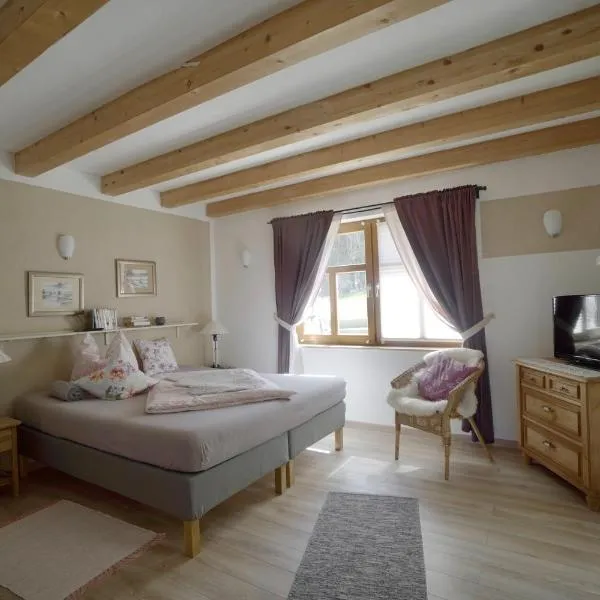 Landgut Seebühne - Aparthotel Steigerwald, hotel v destinaci Vestenbergsgreuth
