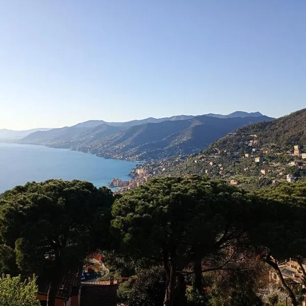 Golfo Paradiso, hotel v destinaci Camogli