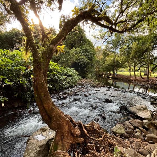 Vale do Rio Bonito Glamping - Foto 5