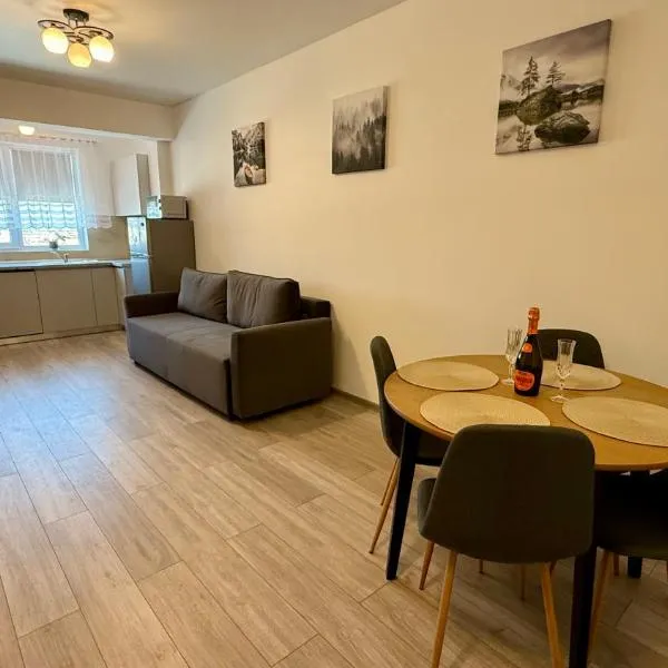 Deterra Studio 70 next to Metro Station Berceni, hotel in Popeşti-Leordeni