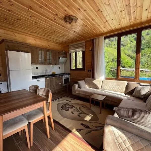 Ayder Defne Suit Ev, khách sạn ở Çamlıhemşin