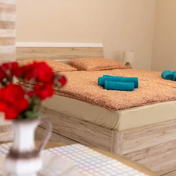 Apartmani MARJANOVIĆ Pačir, hotel in Pačir