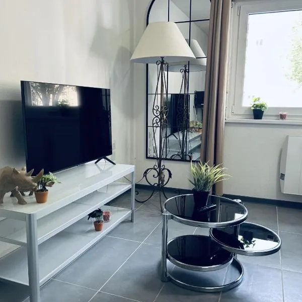 STUDIO tres pratique, hotel in Strasbourg