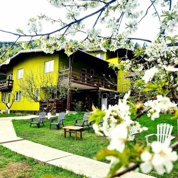 Vila Giulia Voineasa, hotel in Voineasa