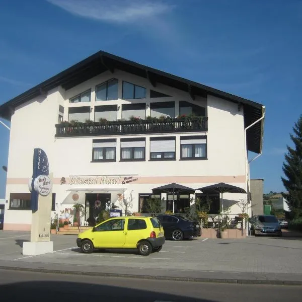 Bliestal Hotel, hotel in Oberwürzbach