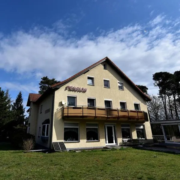 Pension Schwesinger, hotel in Ottendorf-Okrilla