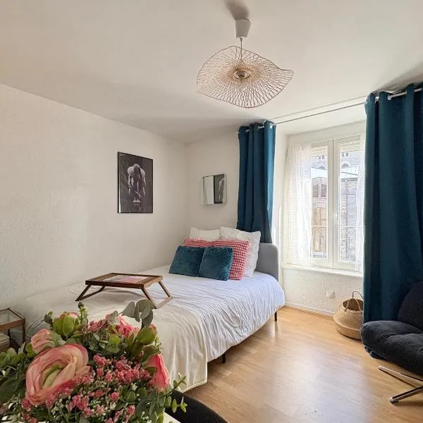 La Bonbonnière Centre ville - Thermes - Netflix, hotel i Mont-Dore