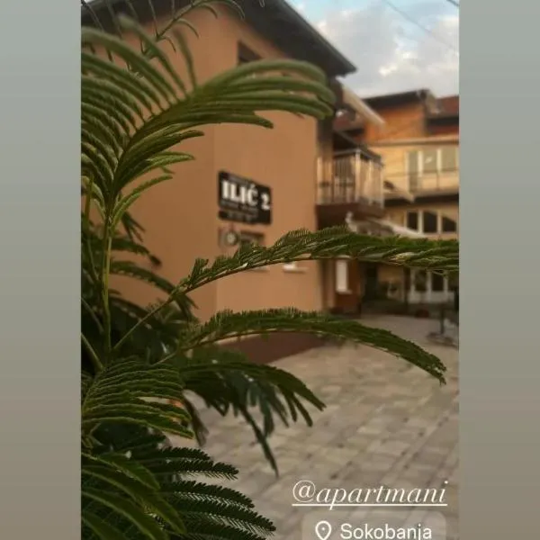 Apartmani Ilic 2, hotel v destinaci Soko Banja