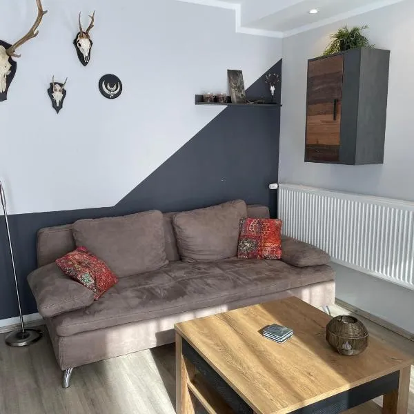 Apartment Nikki, hotel a Medebach