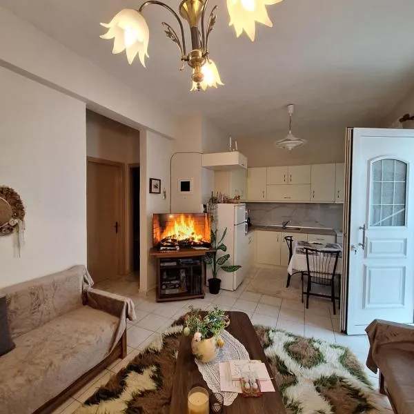 Ellie's house, hotel in Kozani