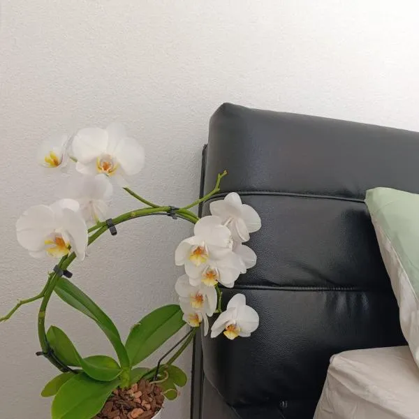 Ferienwohnung Mergel in Black Forest, hotel in Zell im Wiesental