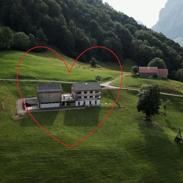 Panoramahof Bergglück, hotel v destinácii Mellau