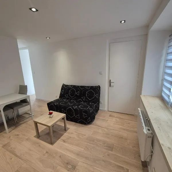 Appartement proche cure thermale, hotel in Bains-les-Bains