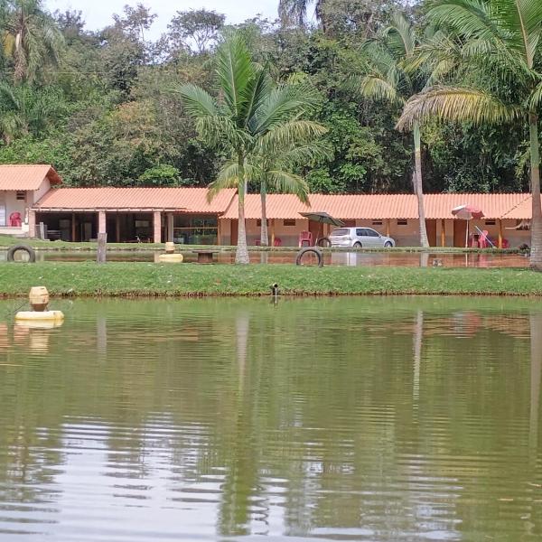 Chácara Cachoeira - Foto 5
