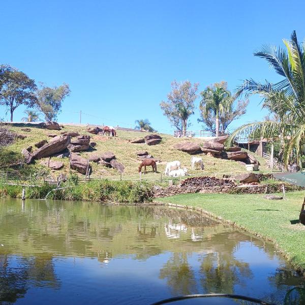 Chácara Cachoeira - Foto 5