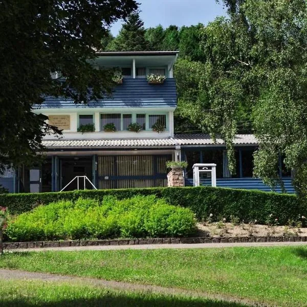 Hotel Parc Les Cigognes, hotel v destinaci Albé