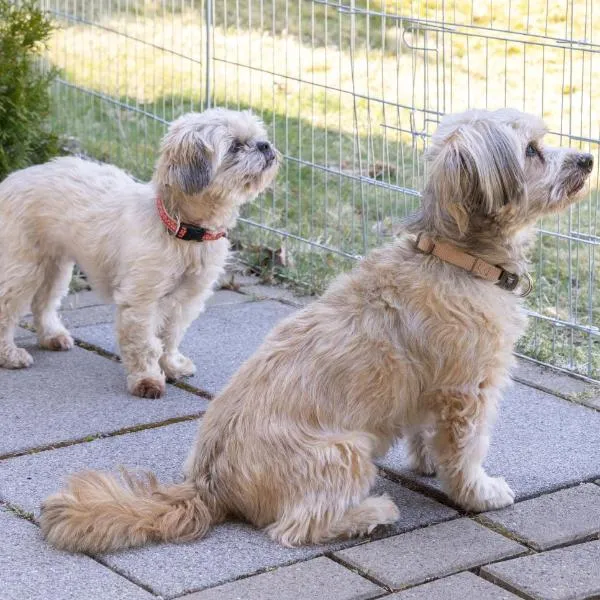 FeWo Harzer Bergwind Sankt Andreasberg, 1 Hund bis 30Kg willkommen, große eingezäunte Terrasse mit Gasgrill, ξενοδοχείο σε Sankt Andreasberg
