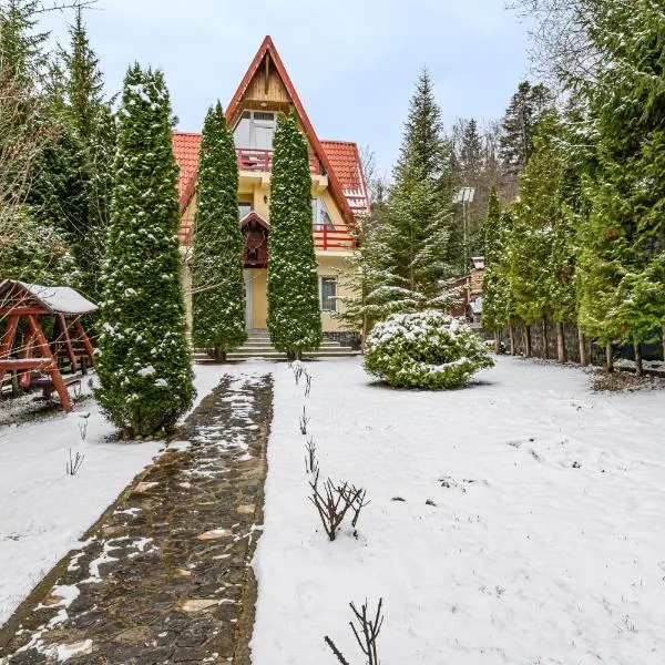 FLH - Emprin House, hotel v mestu Predeal