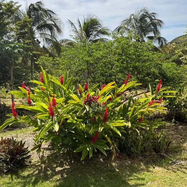 Au Gré des Alizés - Kaz Soley Péyi, hotel in Capesterre-de-Marie-Galante
