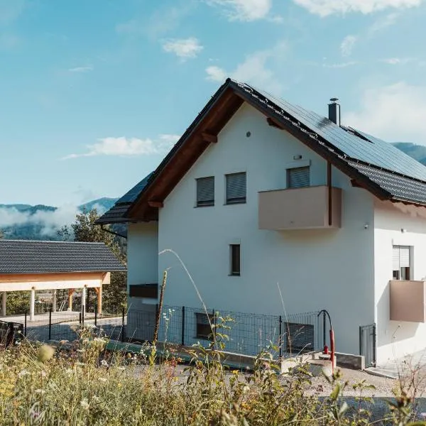 Apartmaji Laznik, hotel v destinaci Ljubno