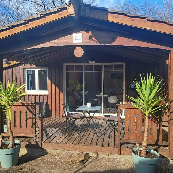 Chalet Domaine de la Forge, hotel in La Teste-de-Buch