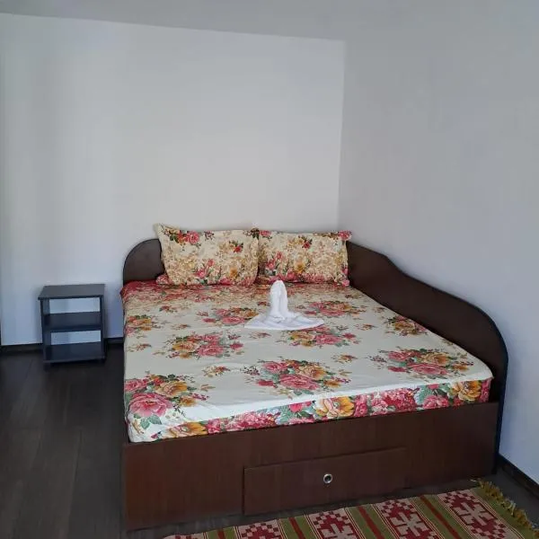 Ionuț residence、Valea Mareのホテル
