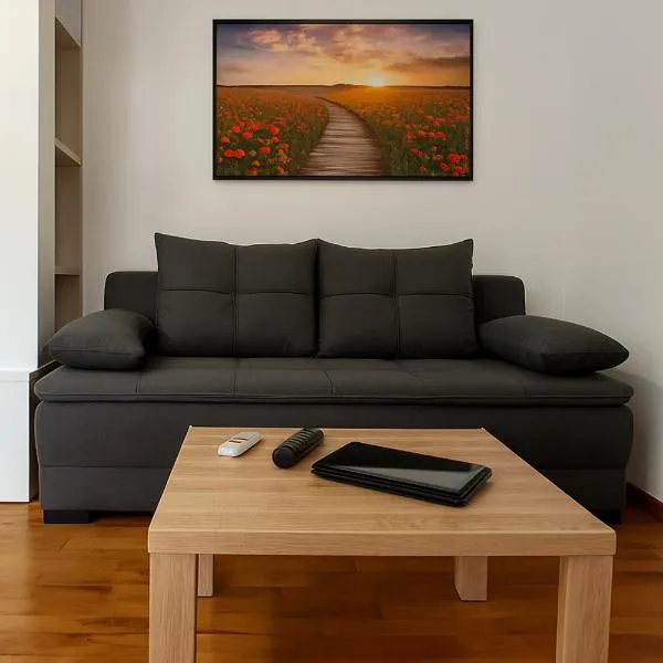 Rose casa apartments Vrnjacka Banja, hotel in Vrnjci