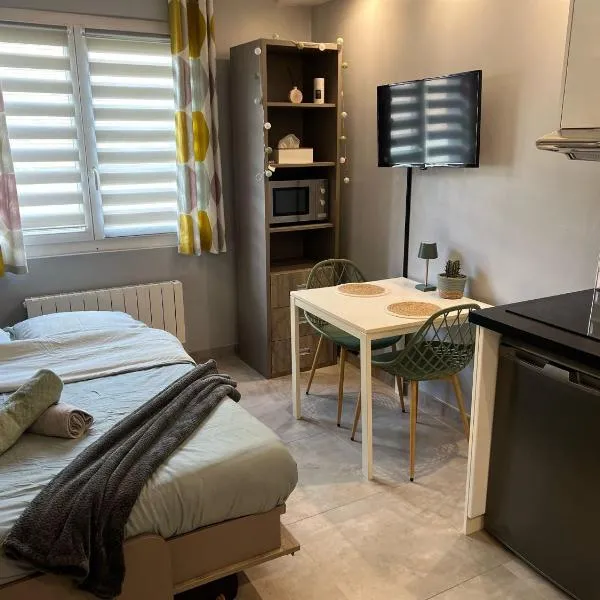 Charmant studio Créteil proche Paris, Disneyland, hôpitaux, aéroports, Hotel in Créteil