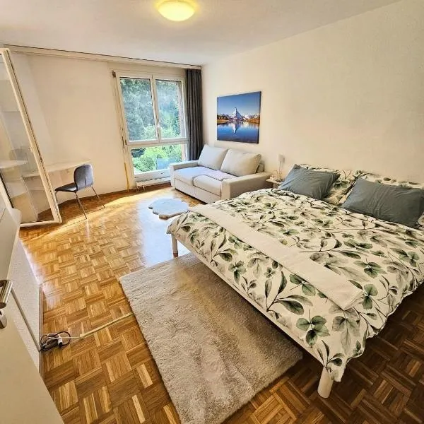 Premium Apartment mit Pilatus Sicht, hotel v destinaci Luzern