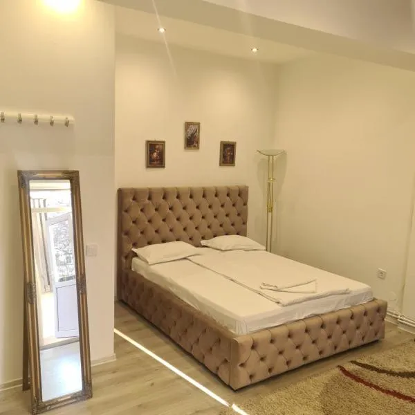 Corina House, khách sạn ở Craiova