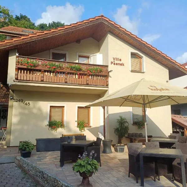 villa Pšenek, hotel v destinaci Banka