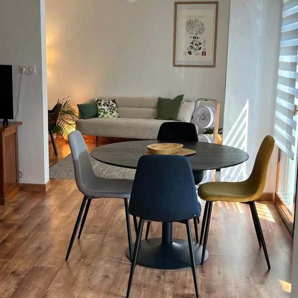 Le GINGKO ZEN EPINAL, hotel a Épinal