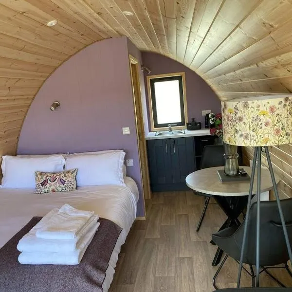 Dingle Wild - Luxury Pod, hotel v destinaci Dingle