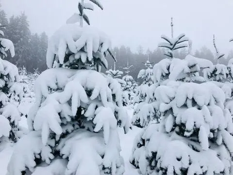 Winterberg में, होटल Ferienwohnung Winterberg