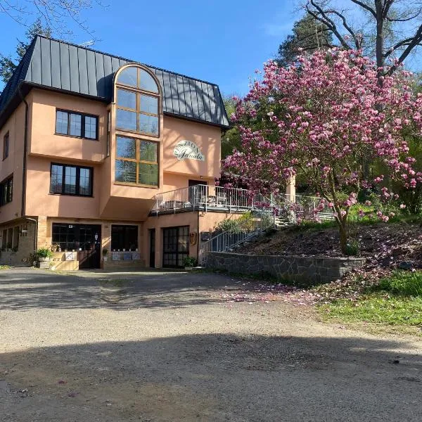 Penzion Janata, hotel ve Slapech