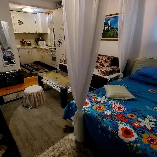 Apartmani GS ***** Zavidovici: Zavidovići şehrinde bir otel