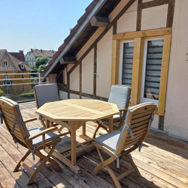 Appartement-terrasse parking privé Meublé de Tourisme 4 étoiles, Hotel in Belfort