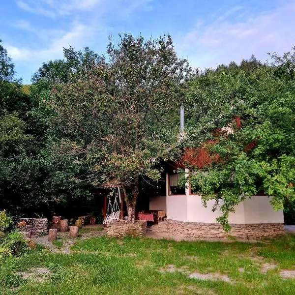 Biniște -Tiny House by the river, hotel v mestu Dejani