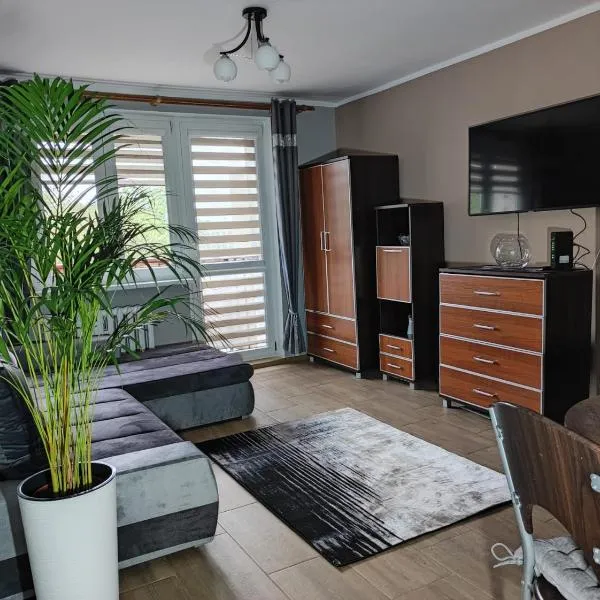 Apartament Raven, khách sạn ở Wałbrzych