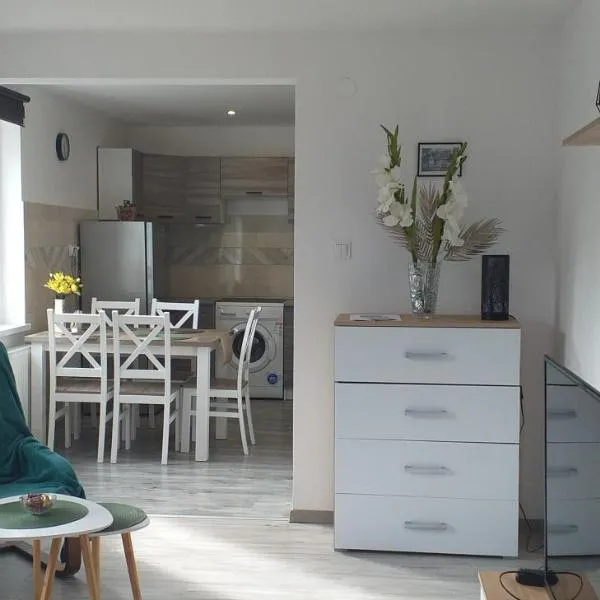 Apartament przy Papierni、ドゥシュニキ・ズドルイのホテル