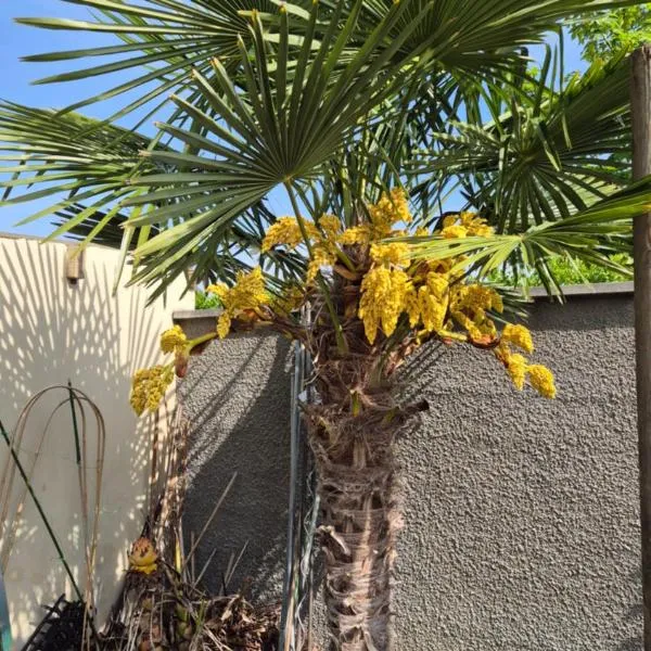 Chambres meublées, Tv sdb wc et accès privatifs, hotel v destinaci Champigny-sur-Marne
