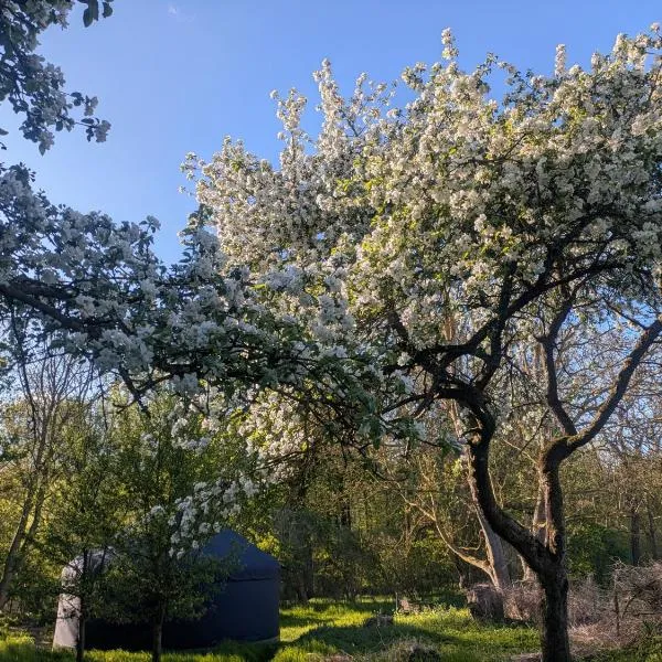 Viesnīca Jurte mit Kaminofen, Sauna & Sternenhimmel- Hasseldorf 10 pilsētā Lindenberg