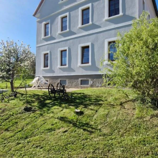Ferienwohnung Schwalbennest1, hotel in Großschirma