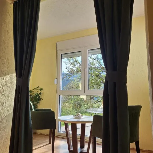 Apartman Sara, hotel in Pluzine