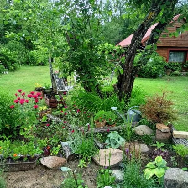 Chata Spokoju pod Gwiazdami, hotel v destinaci Olchówka