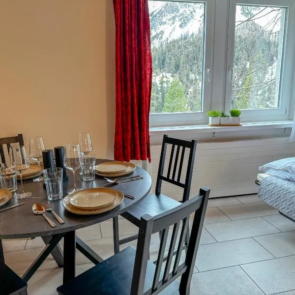 Zentrale gelegene gemütliche Wohnung in Arosa, hotel in Arosa