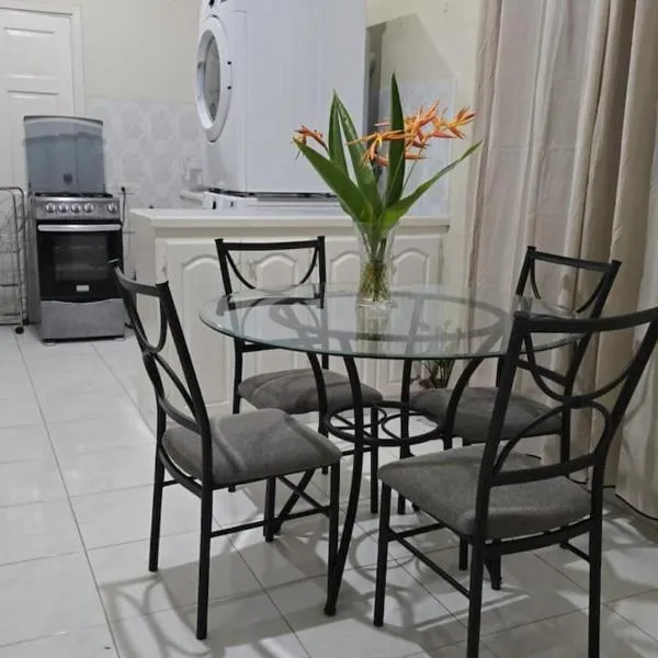 Comfy, spacious apartment near the beach, hotel en Saint Joseph