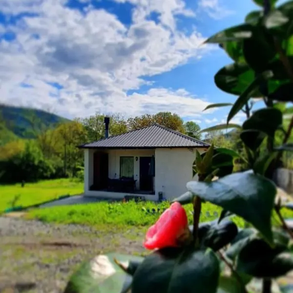 Guest house "Soulmate", hotel v destinaci Ambrolauri